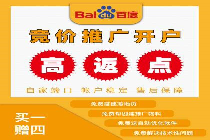 百度推广在电商行业的成功实践